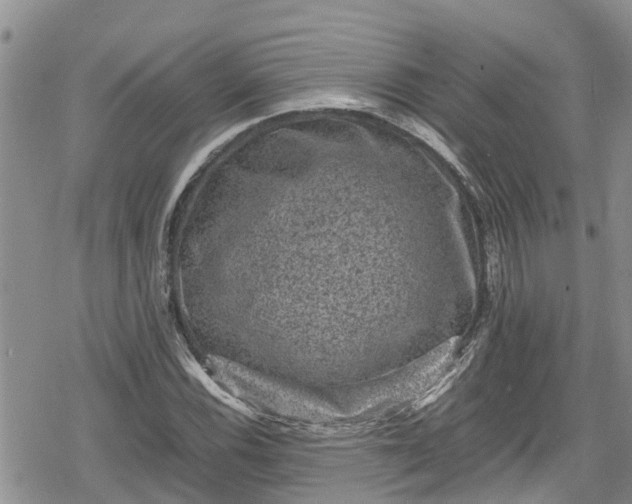 X0000078861116200611271405