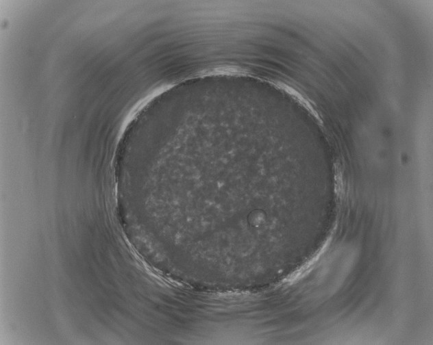 X0000078861117200611271405