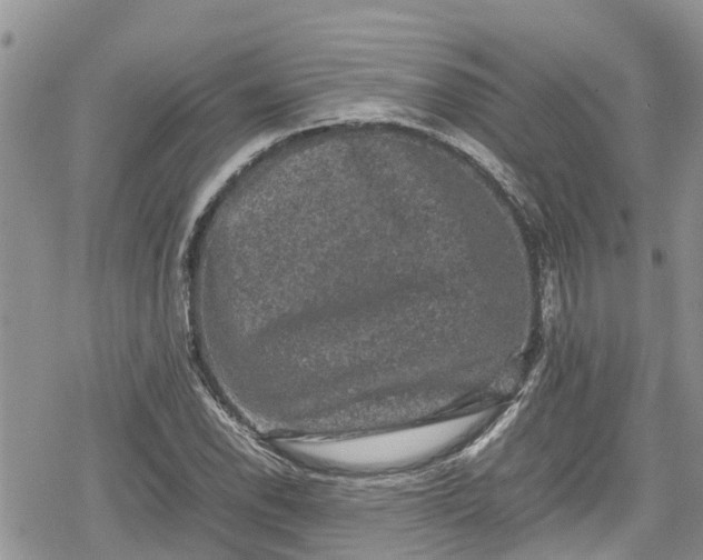 X0000078861118200611271405