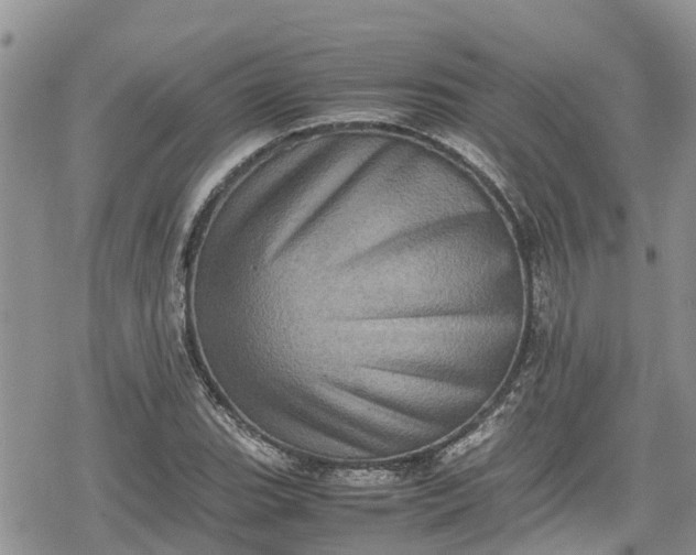 X0000078861119200611271405