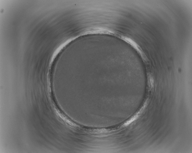 X0000078861120200611271405