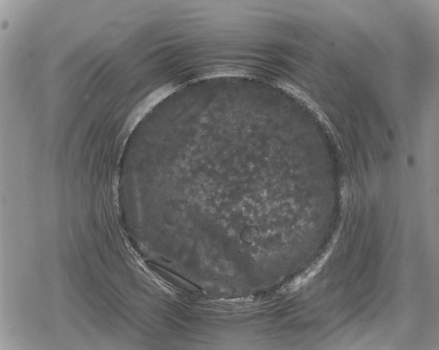 X0000078861121200611271405