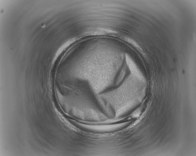 X0000078861122200611271405