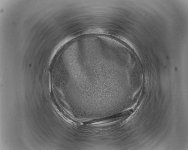 X0000078861123200611271405