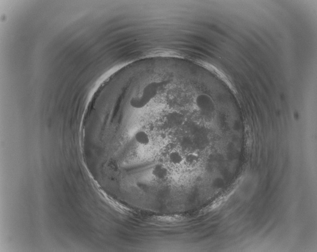 X0000078861125200611271405