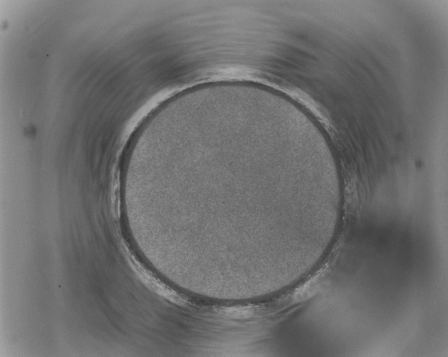 X0000078861126200611271405