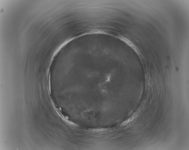 X0000078861127200611271405