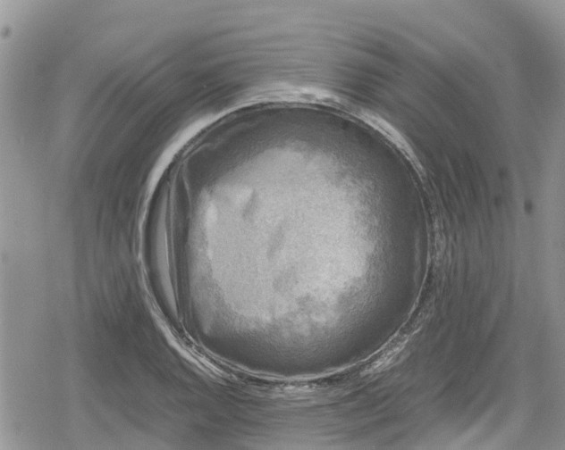 X0000078861128200611271405