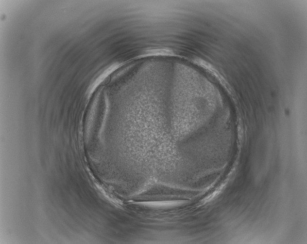 X0000078861129200611271405