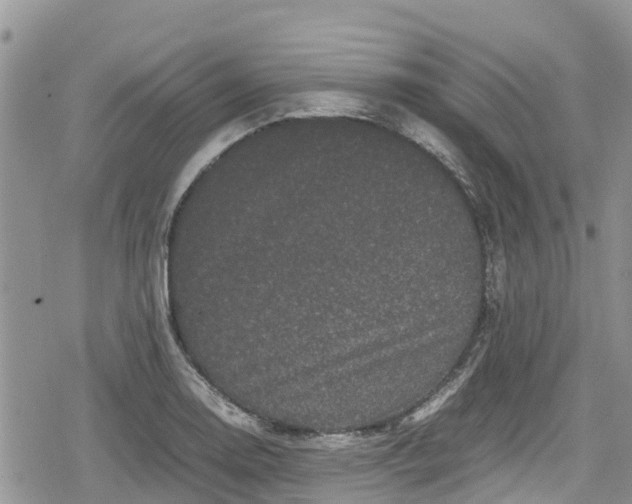 X0000078861130200611271405