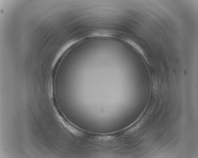 X0000078861131200611271405