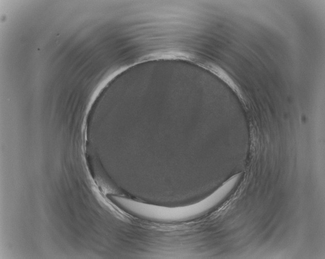 X0000078861132200611271405