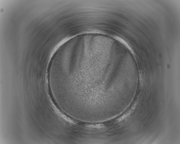 X0000078861133200611271405