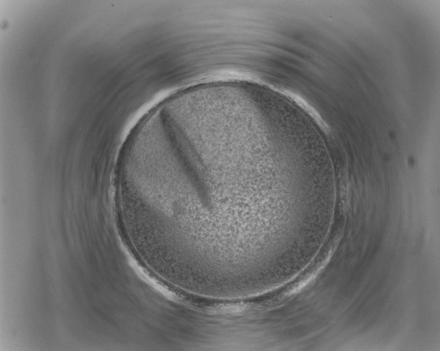 X0000078861134200611271405