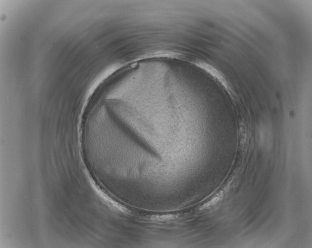 X0000078861135200611271405