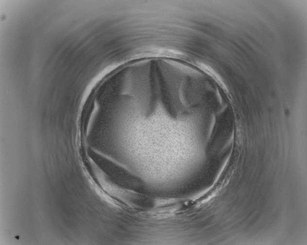 X0000078861136200611271405