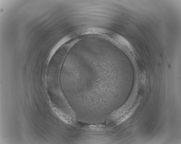 X0000078861138200611271405