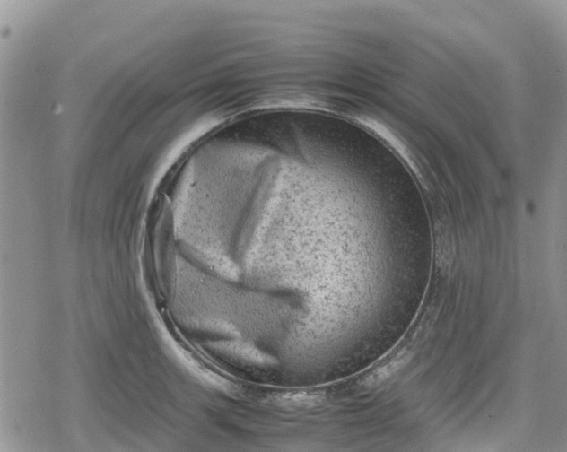 X0000078861139200611271405