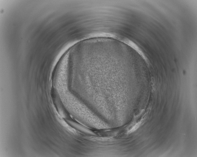 X0000078861140200611271405