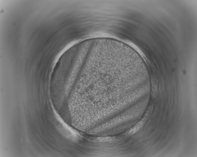 X0000078861142200611271405