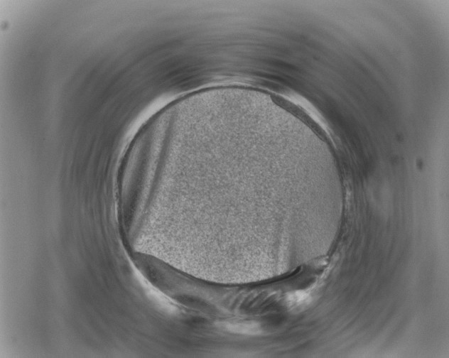 X0000078861143200611271405