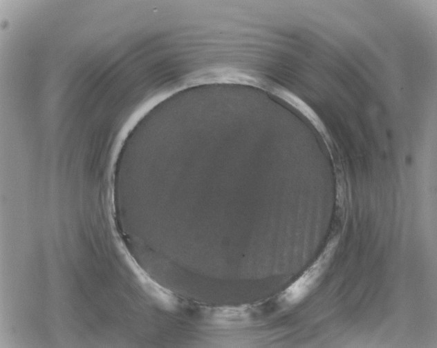 X0000078861144200611271405