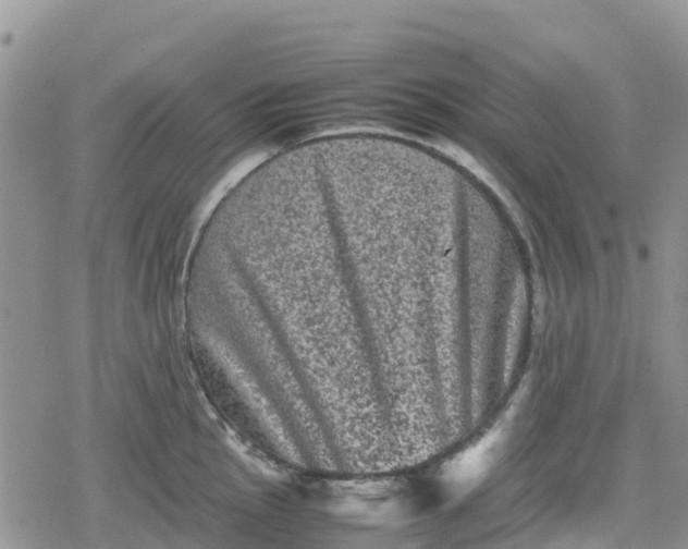 X0000078861145200611271405