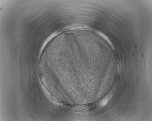 X0000078861146200611271405