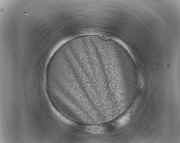 X0000078861147200611271405