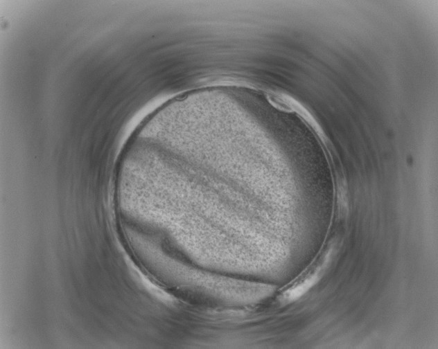 X0000078861149200611271405