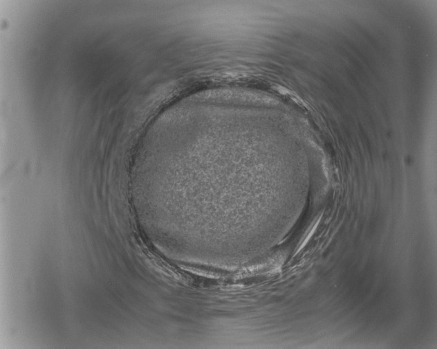 X0000078861153200611271405