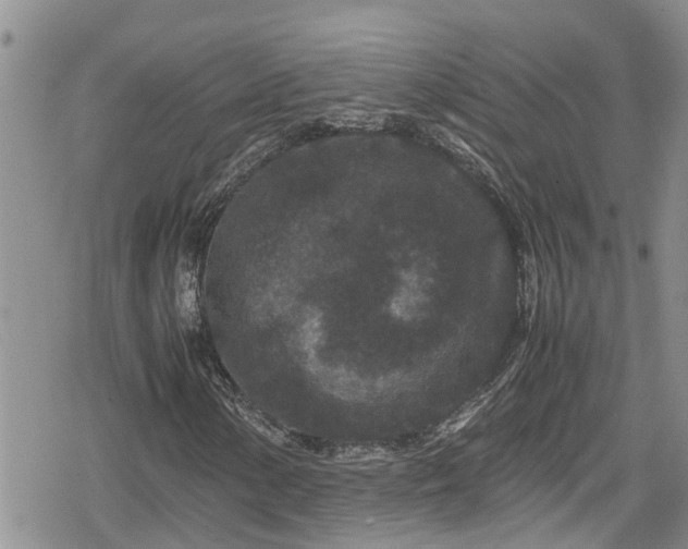 X0000078861154200611271405