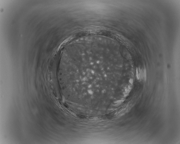 X0000078861155200611271405