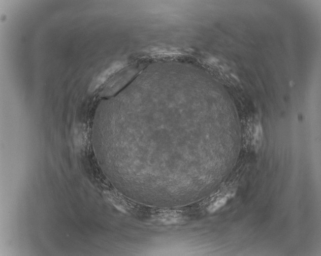 X0000078861157200611271404