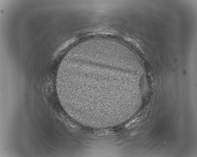 X0000078861159200611271404