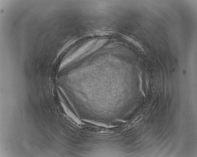 X0000078861160200611271404