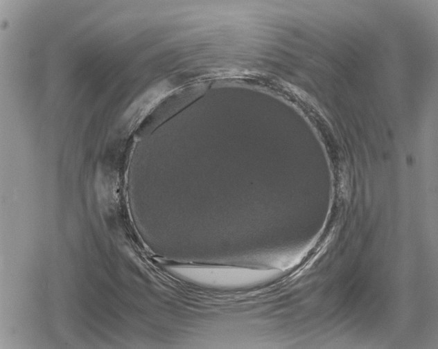 X0000078861161200611271404