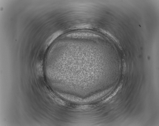 X0000078861162200611271404