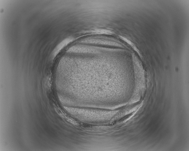 X0000078861163200611271404