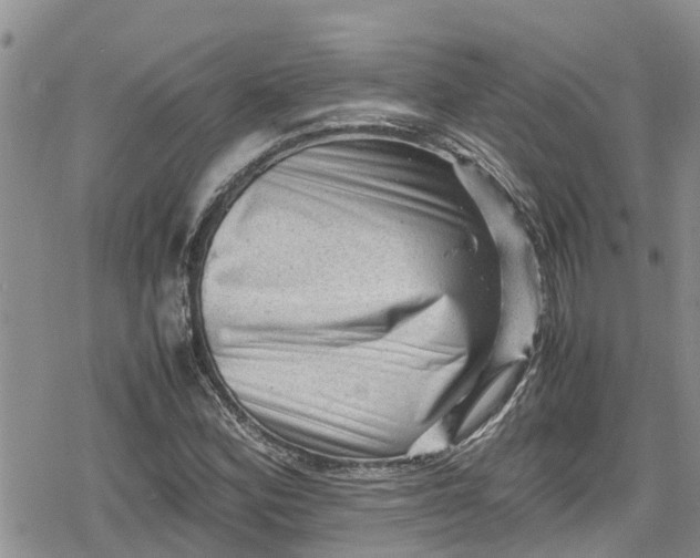 X0000078861164200611271404