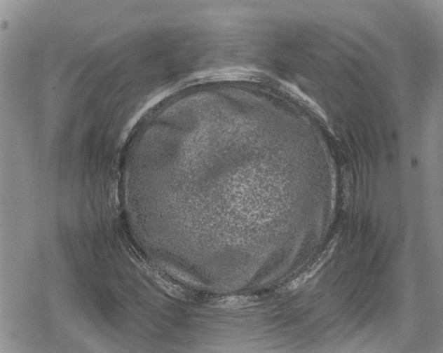 X0000078861166200611271404