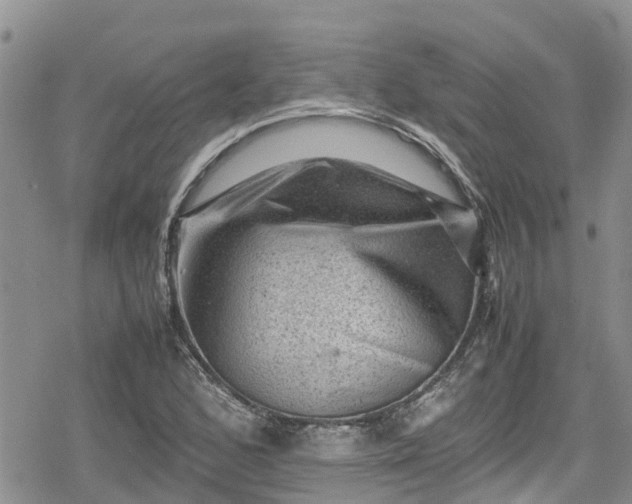 X0000078861168200611271404