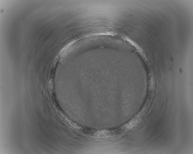 X0000078861169200611271404