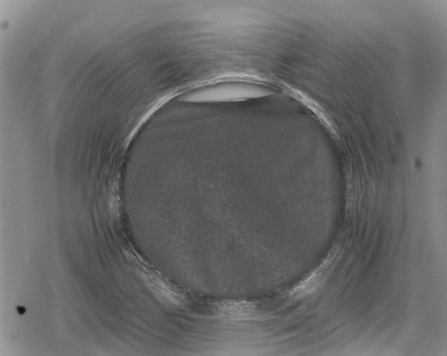 X0000078861170200611271404