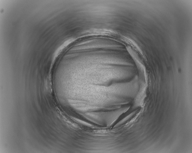 X0000078861172200611271404