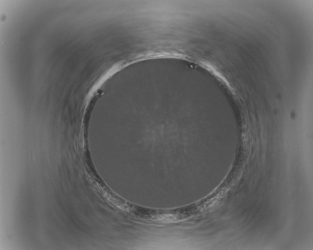 X0000078861173200611271404