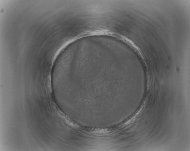 X0000078861174200611271404