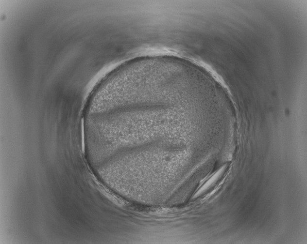 X0000078861175200611271404