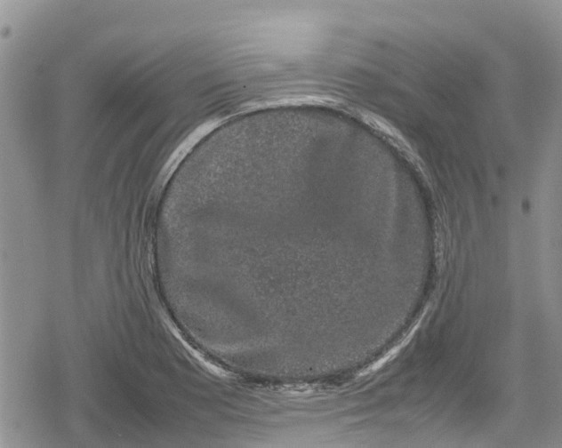 X0000078861177200611271404