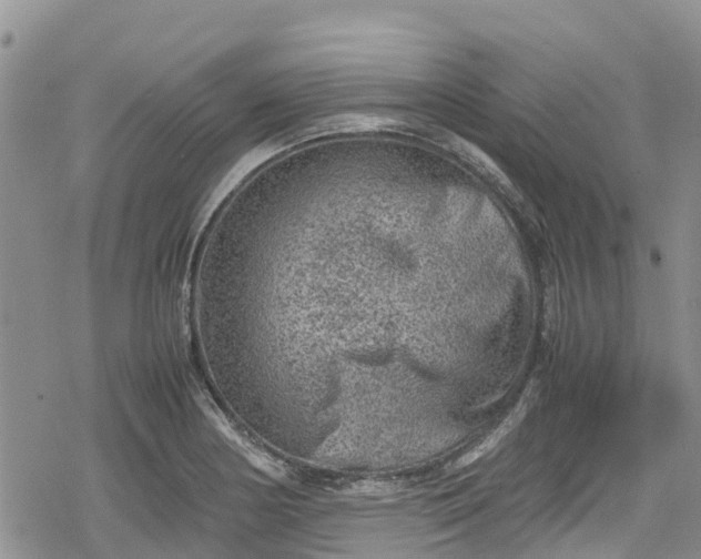 X0000078861178200611271404